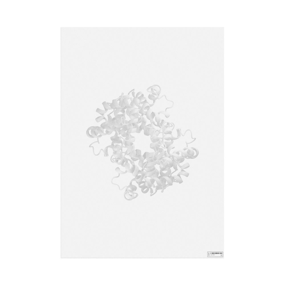 Leskoff Hemoglobin Poster, Shaded View, image 1 of 1