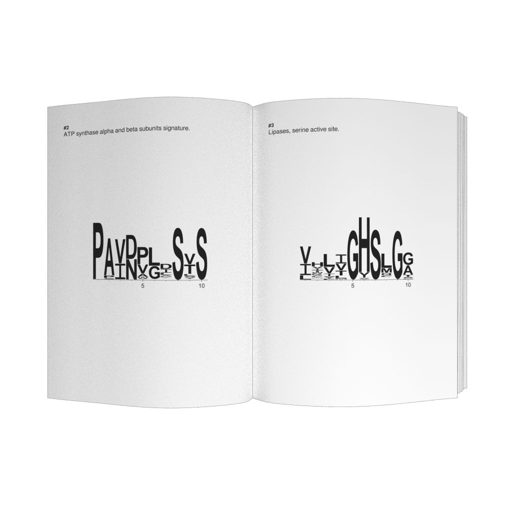 Leskoff Big Sequence Logos, image 1 of 2