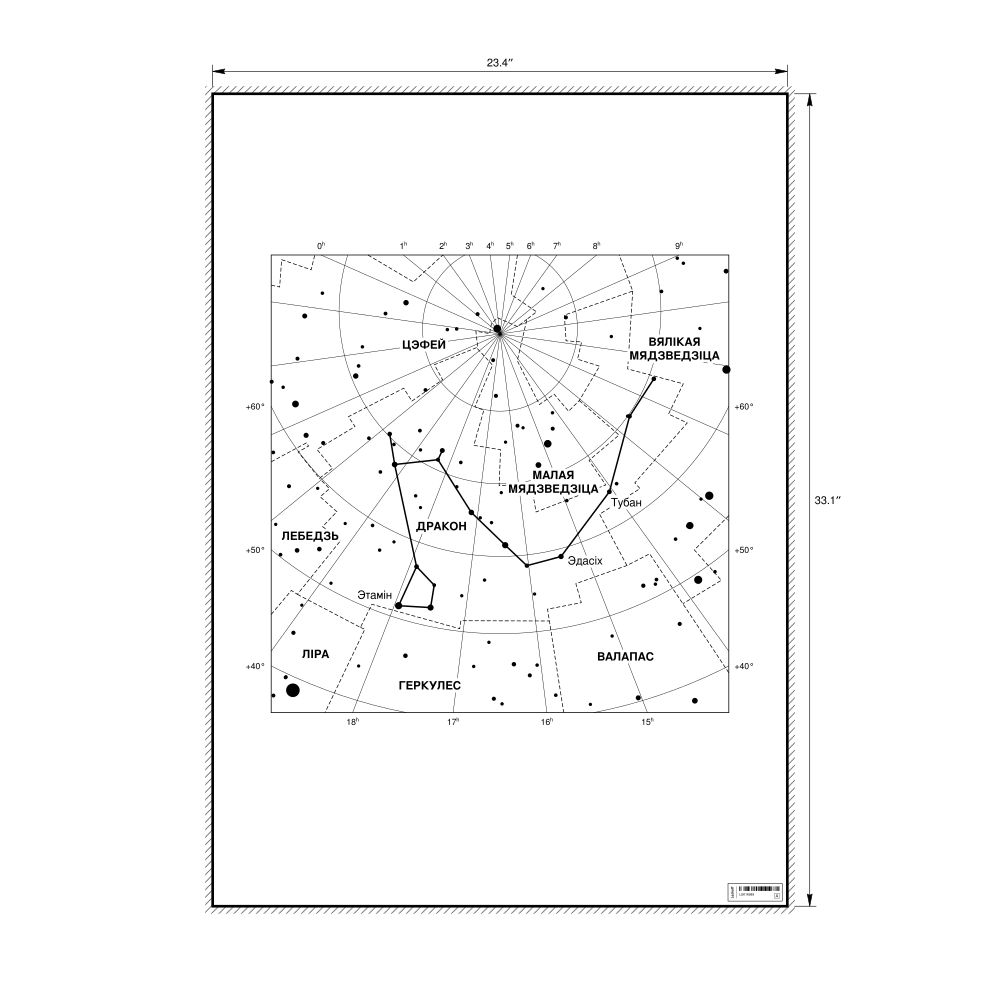 Leskoff Draco Constellation Poster, Belarusian-Labeled, image 1 of 2