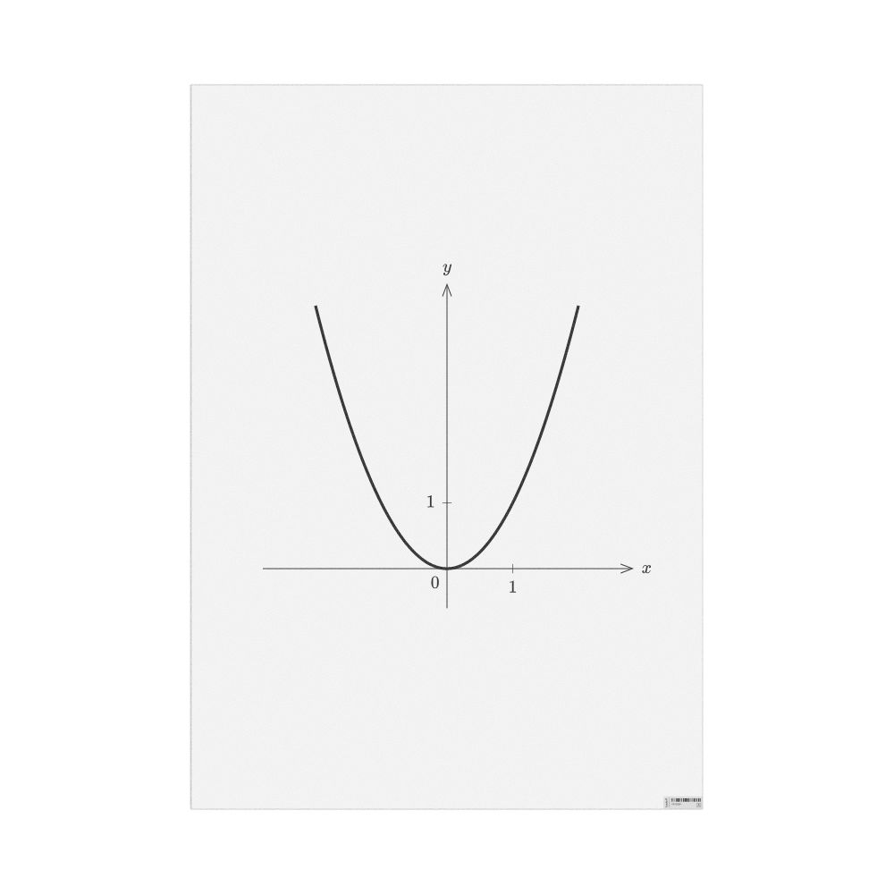 Leskoff Square Function Poster, image 1 of 1
