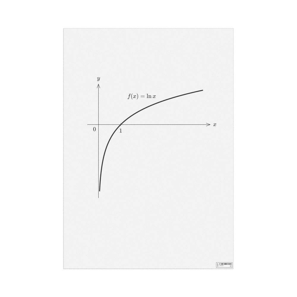 Leskoff Natural Logarithm Poster, image 1 of 1
