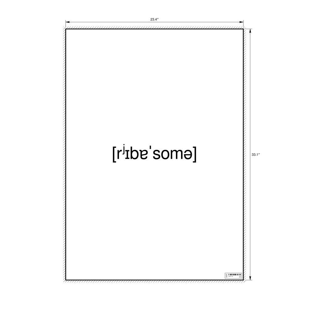 Leskoff рибосома IPA Transcription Poster, image 1 of 1