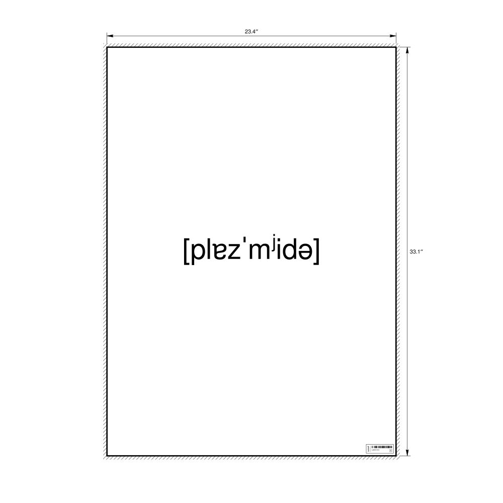 Leskoff плазмида IPA Transcription Poster, image 1 of 1