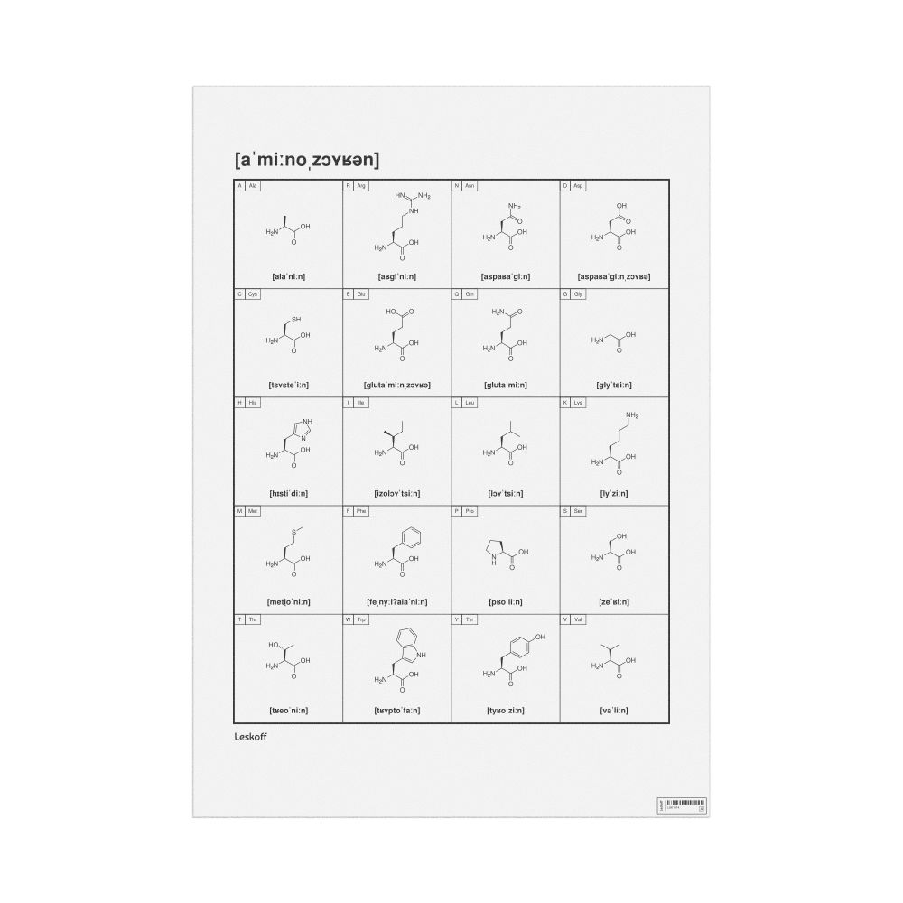 Leskoff Amino Acids Phonetic Wall Chart (Amino Acids Phonetic Poster), IPA-Labeled (German), image 1 of 2