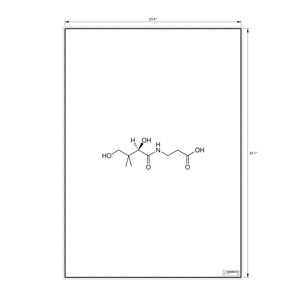 Leskoff Pantothenic Acid Molecule Poster, 2D Structure, image 1 of 1