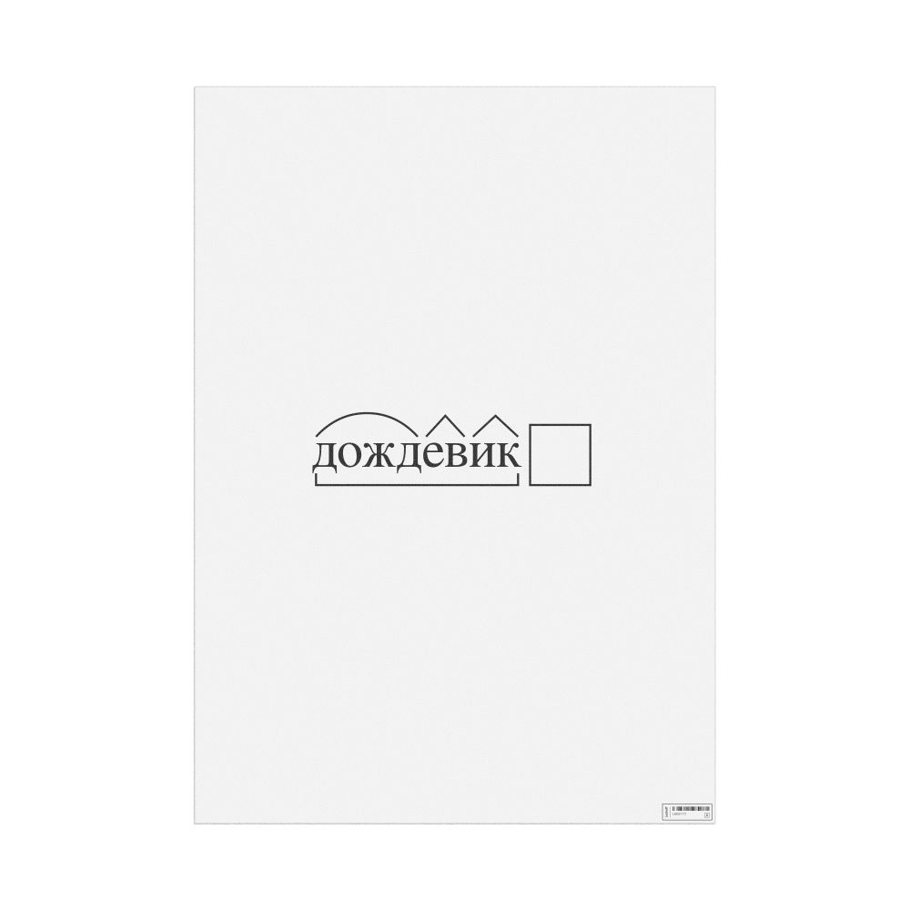 Leskoff дождевик Morphemic Analysis Poster, image 1 of 1