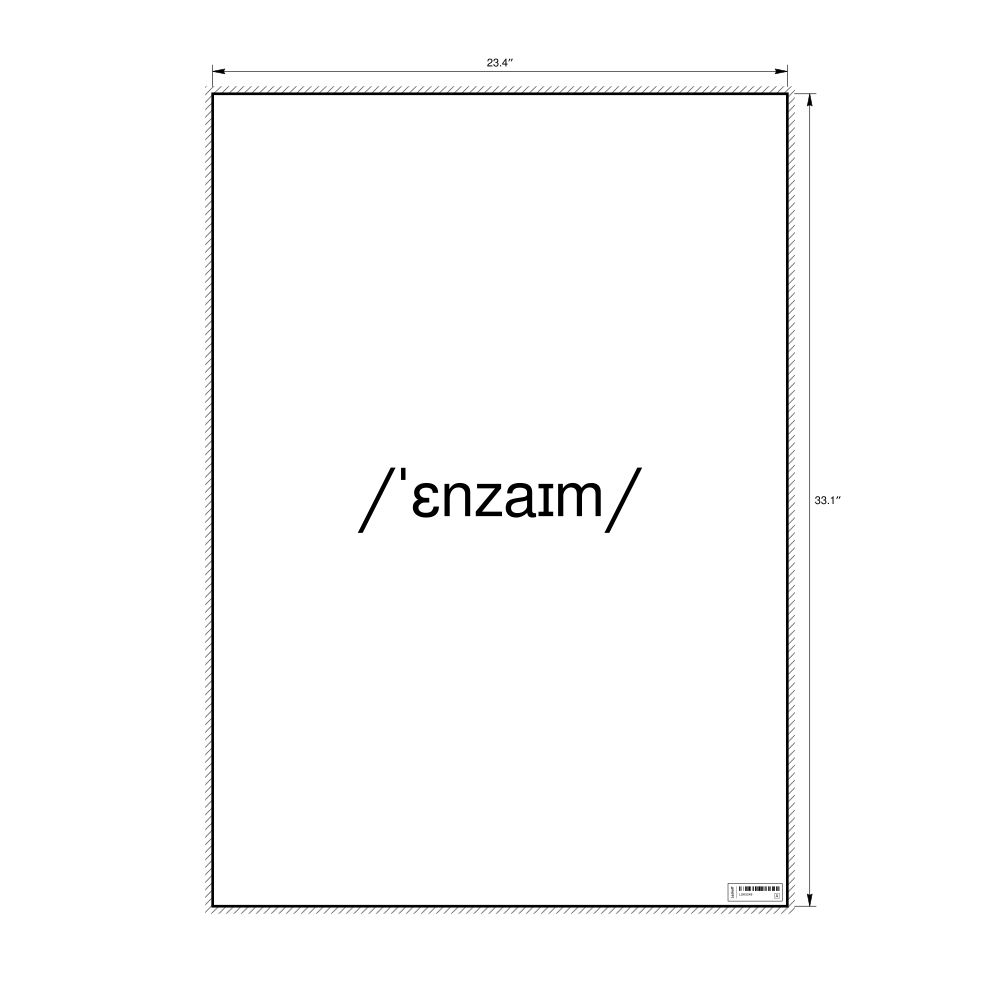 Leskoff enzyme IPA Transcription Poster, image 1 of 1