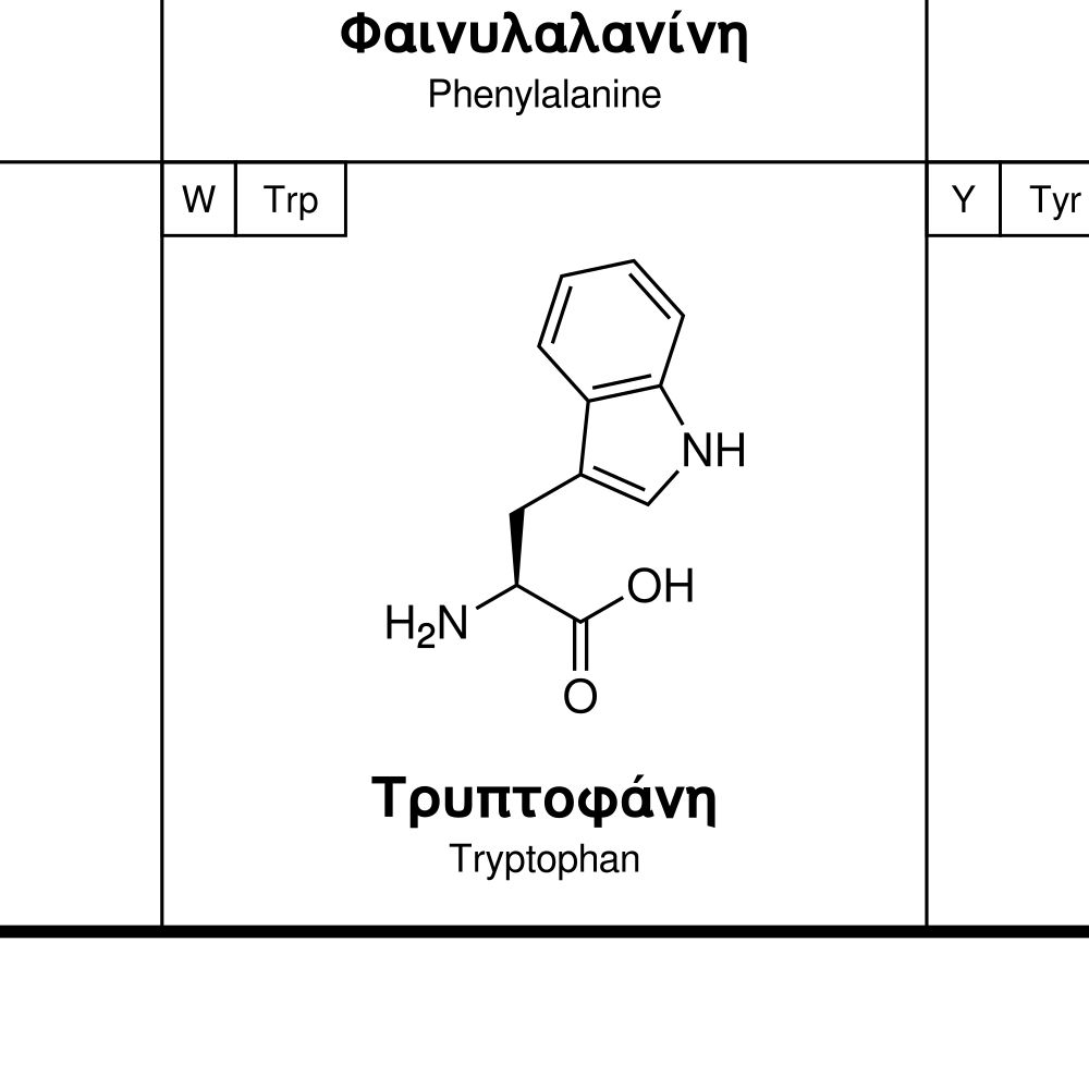 Leskoff Amino Acids Wall Chart (Amino Acids Poster), Greek/English-Labeled, image 2 of 2