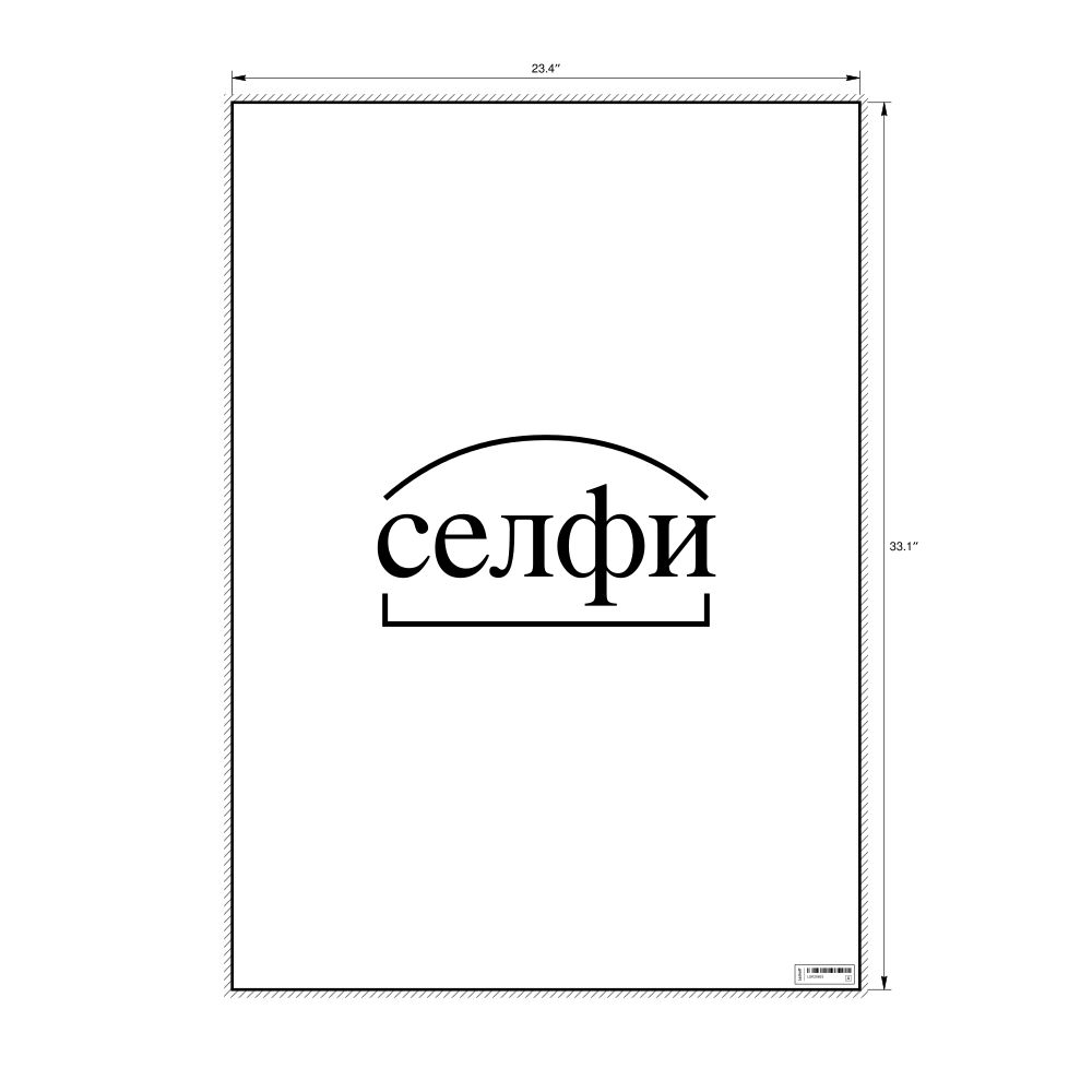 Leskoff селфи Morphemic Analysis Poster, image 1 of 1