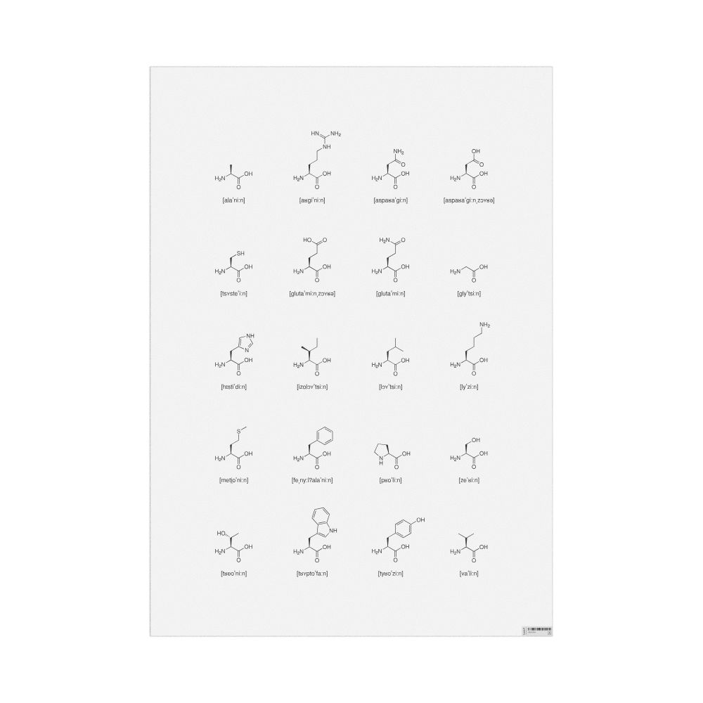 Leskoff Amino Acids Phonetic Wall Chart (Amino Acids Phonetic Poster), IPA-Labeled (German), image 1 of 1