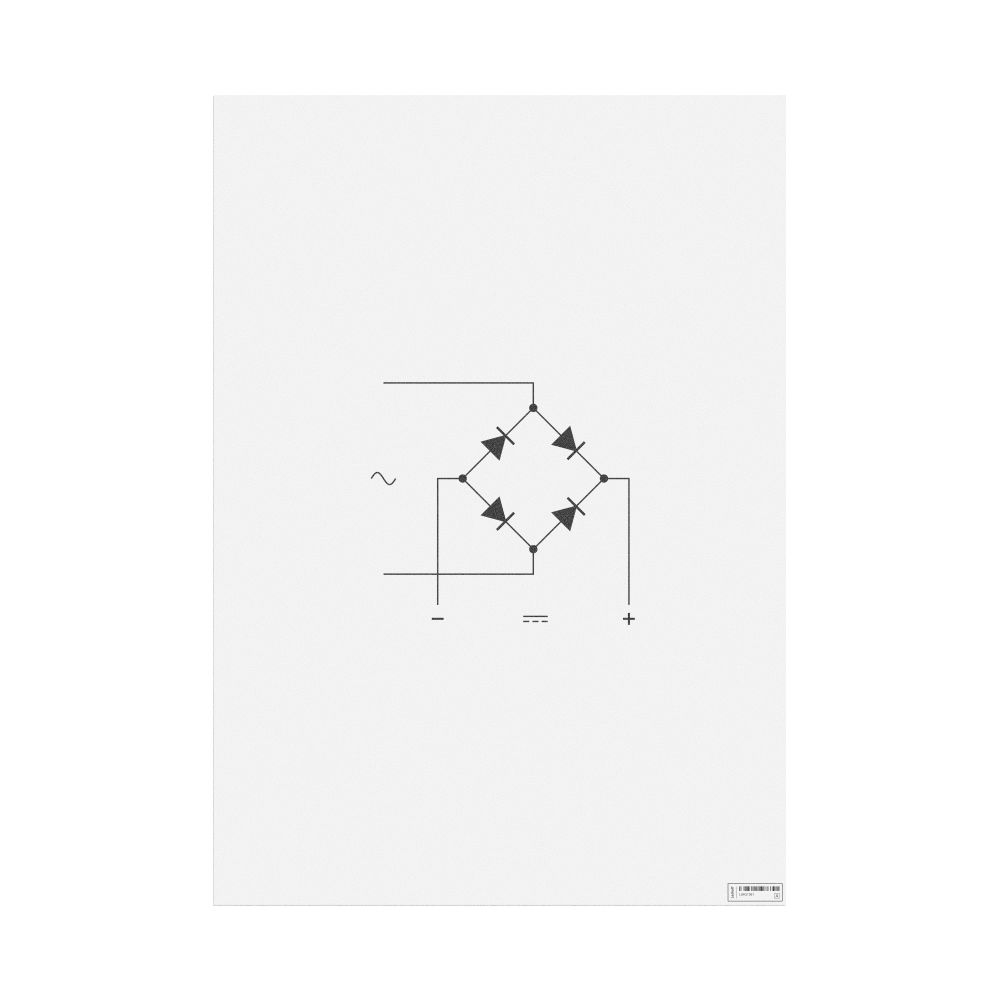 Leskoff Diode Bridge Poster, image 1 of 1