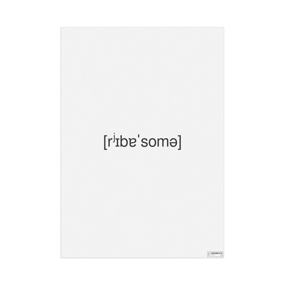 Leskoff рибосома IPA Transcription Poster, image 1 of 1