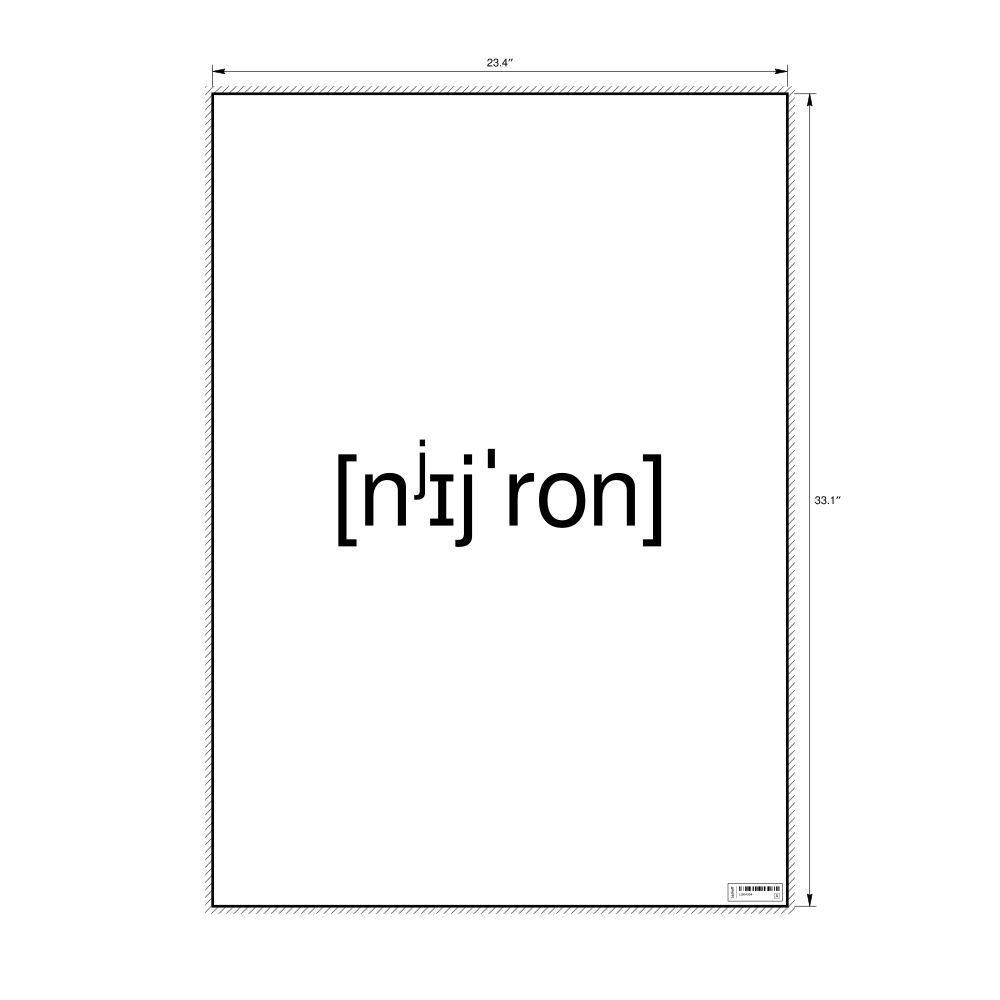 Leskoff нейрон IPA Transcription Poster, image 1 of 1