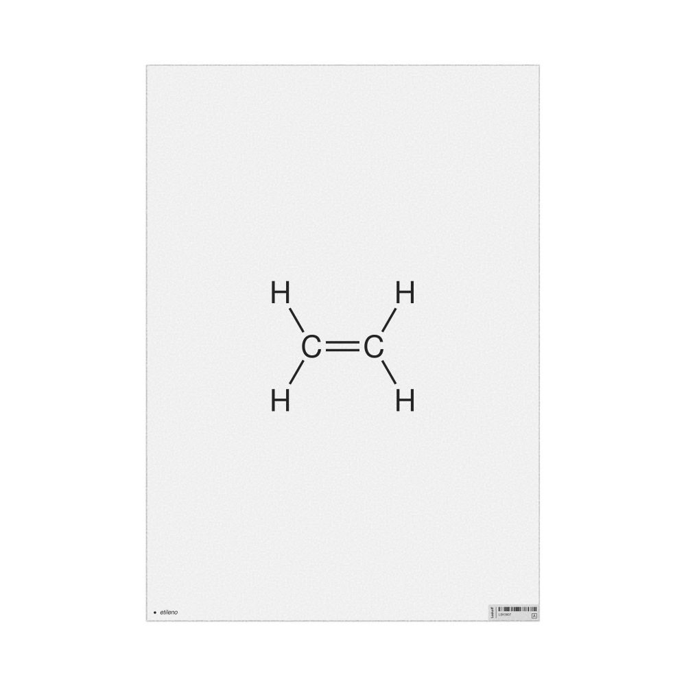 Leskoff Ethylene Molecule Poster, 2D Structure, Esperanto-Labeled, image 1 of 1