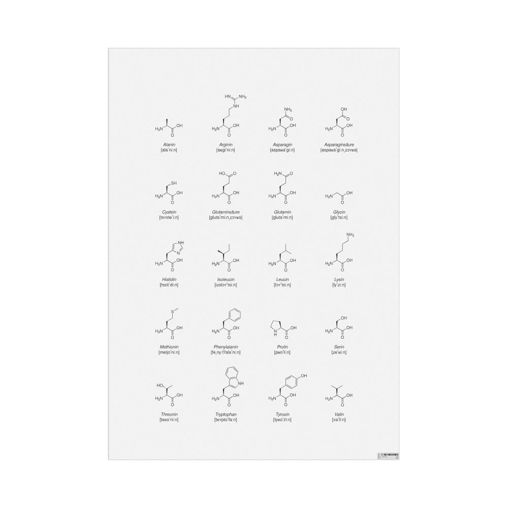 Leskoff Amino Acids Phonetic Wall Chart (Amino Acids Phonetic Poster), German-Labeled with IPA, image 1 of 1