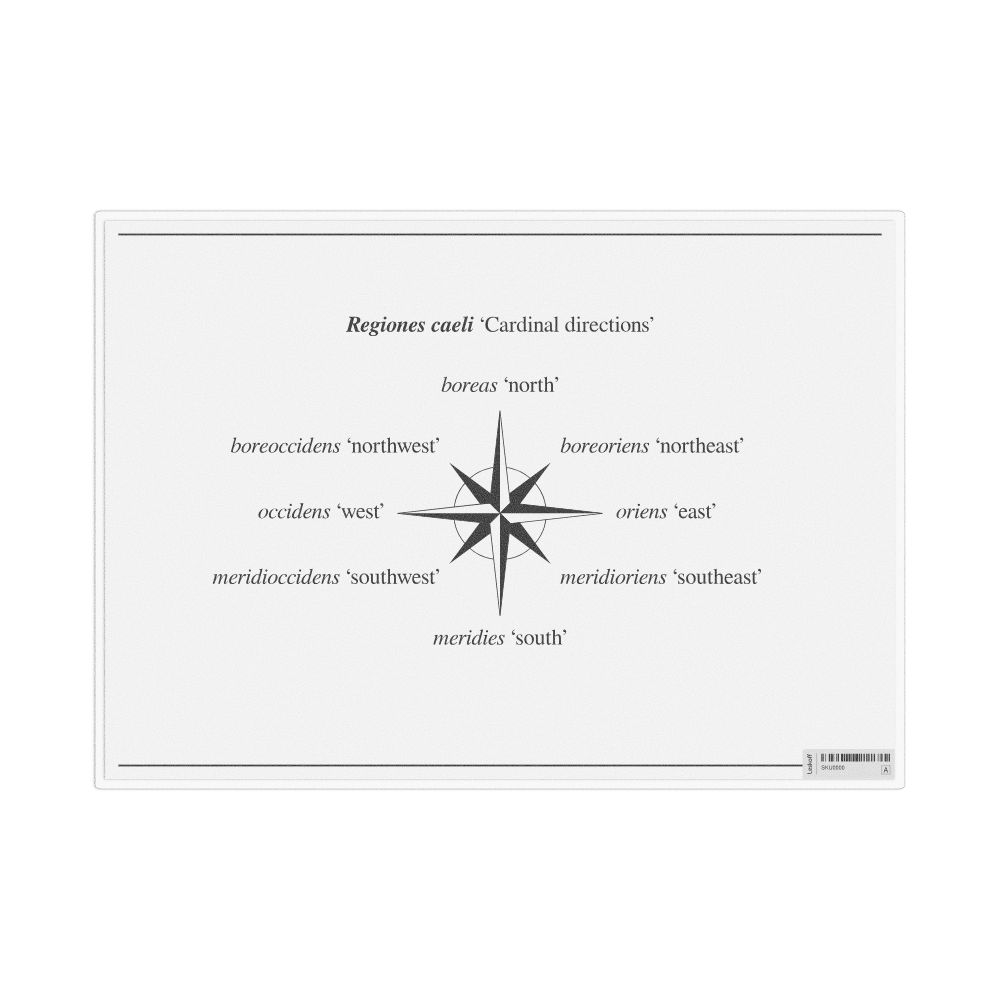 Leskoff Cardinal Directions in Latin, Desk Chart, image 1 of 1