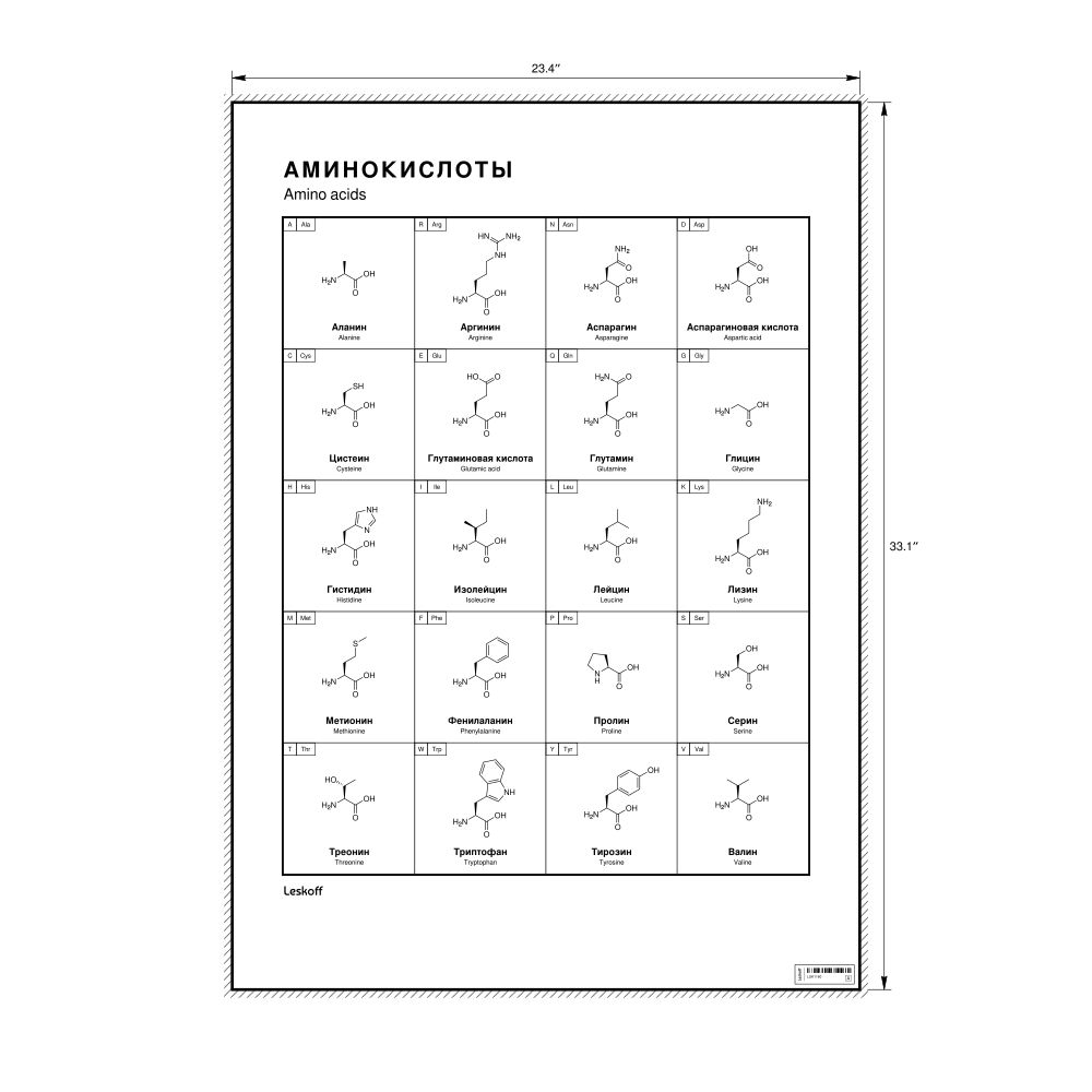 Leskoff Amino Acids Wall Chart (Amino Acids Poster), Russian/English-Labeled, image 1 of 2