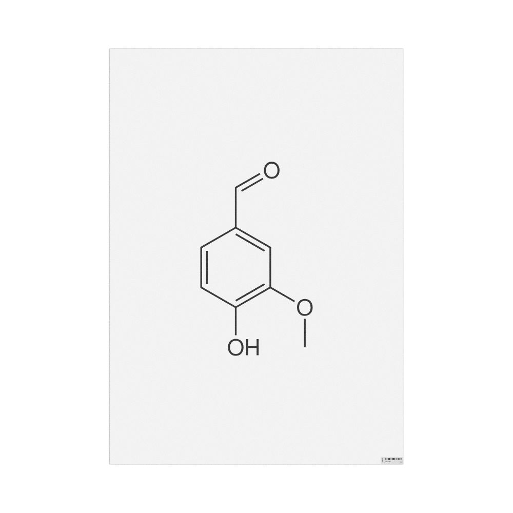 Leskoff Vanillin Molecule Poster, 2D Structure, image 1 of 1