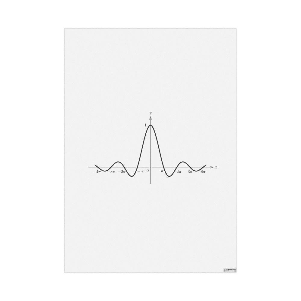 Leskoff Sinc Function Poster, image 1 of 1