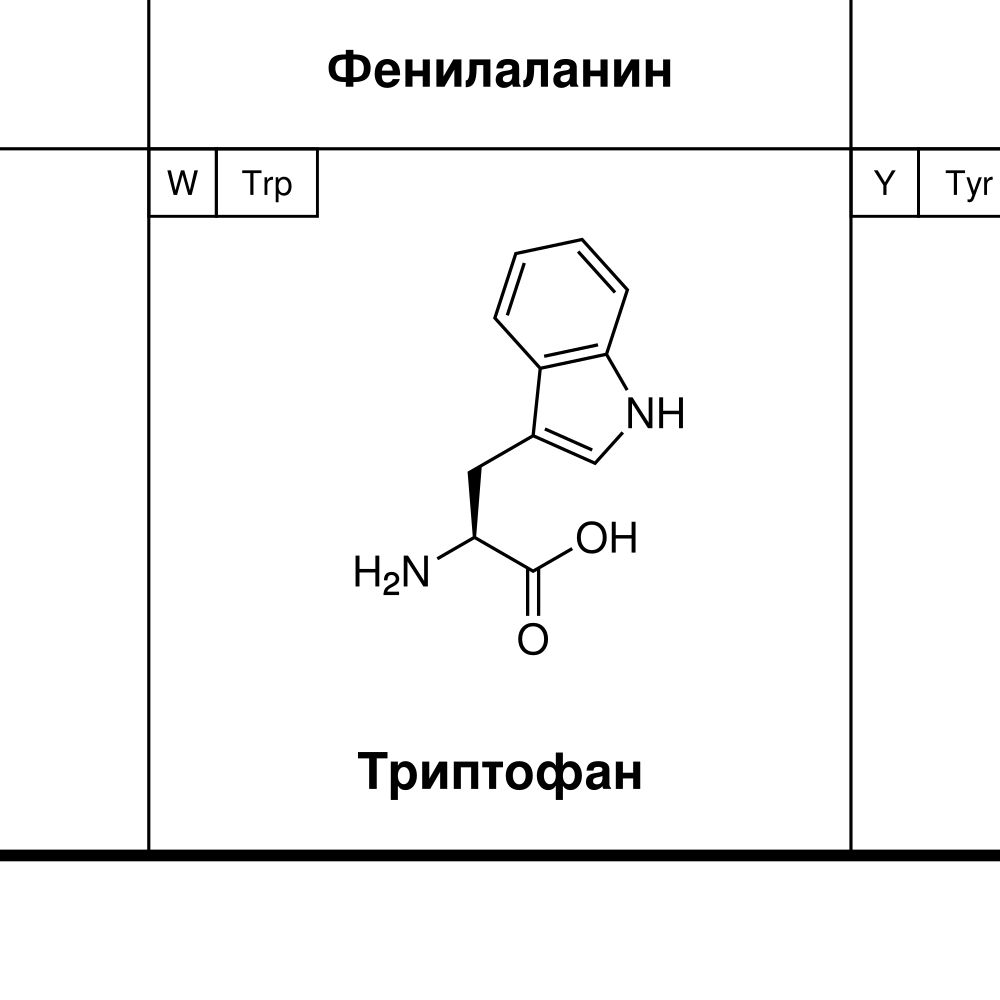 Leskoff Amino Acids Wall Chart (Amino Acids Poster), Russian-Labeled, image 2 of 2