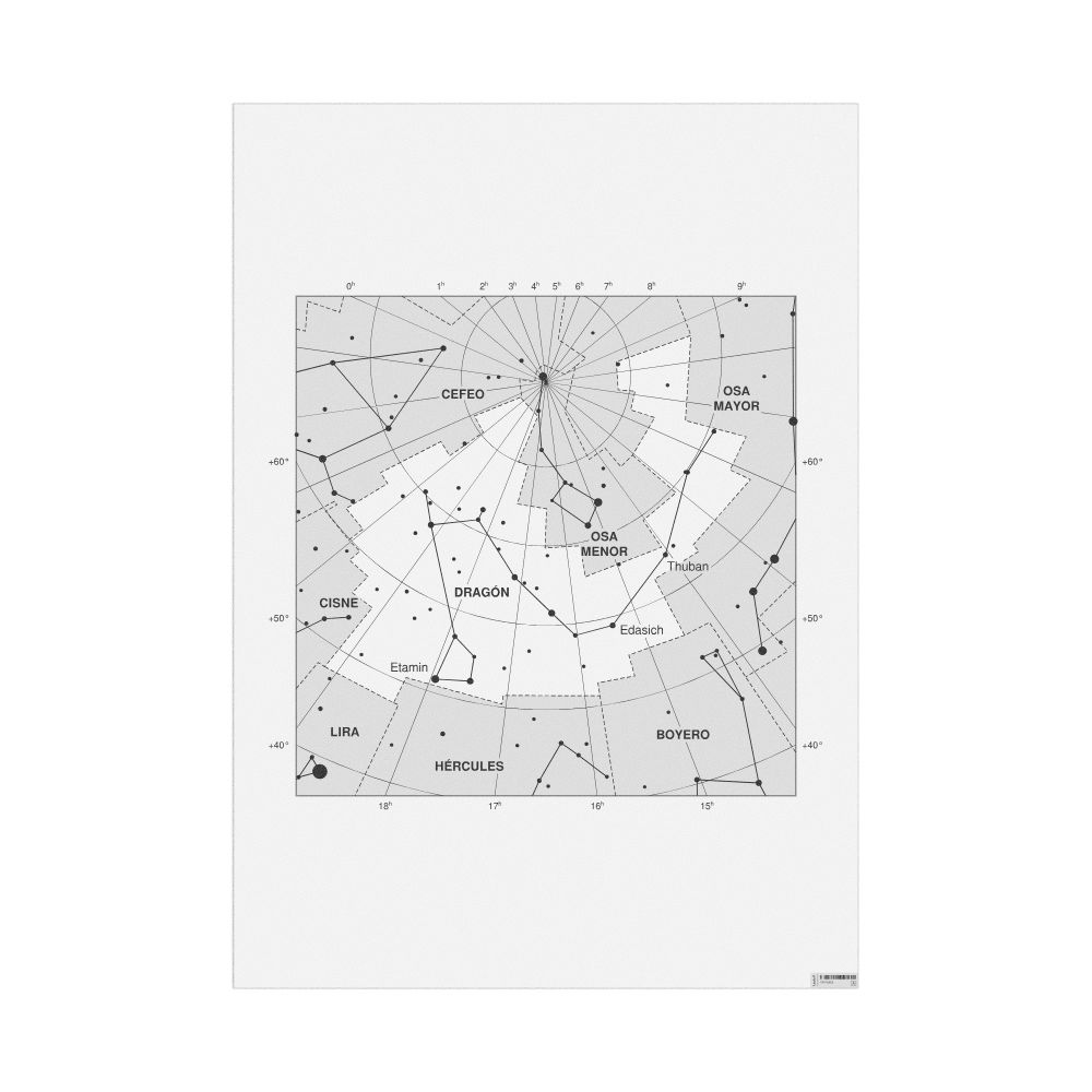 Leskoff Draco Constellation Poster, Spanish-Labeled, image 1 of 1