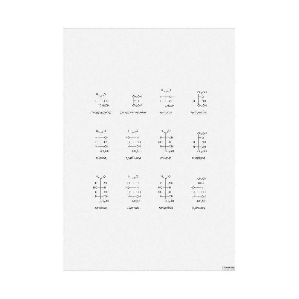 Leskoff Monosaccharides Wall Chart (Monosaccharides Poster), Russian-Labeled, image 1 of 1