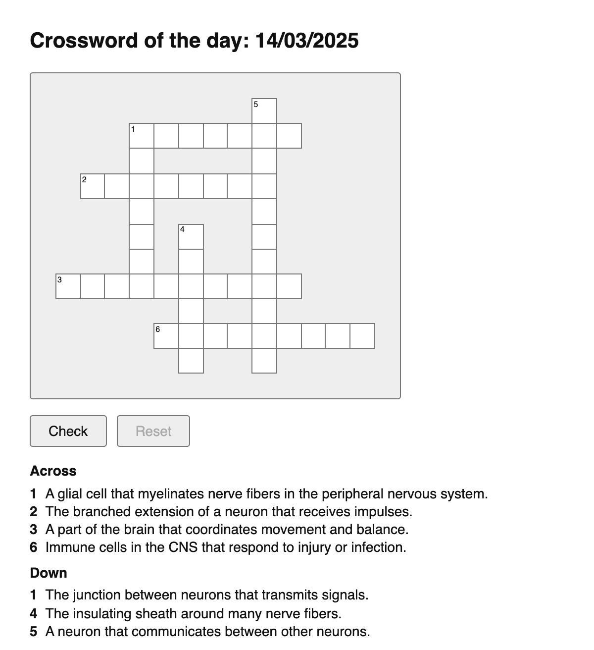 Neuroscience Crossword