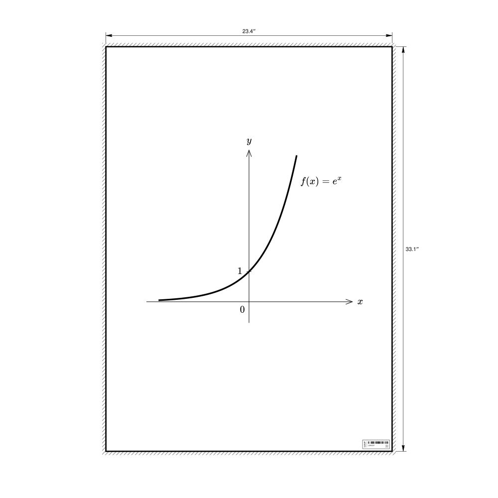 Leskoff Exponential Function Poster, image 1 of 1