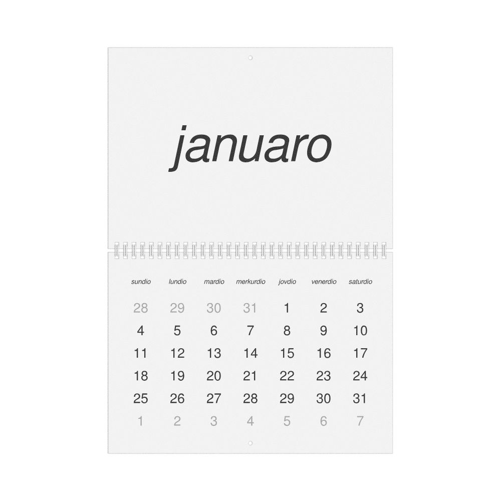 Leskoff 2026 Wall Calendar, Ido-Labeled, Sunday-Start Layout, Wire-Bound, 11.7 x 8.3 in (29.7 x 21.0 cm), image 1 of 1