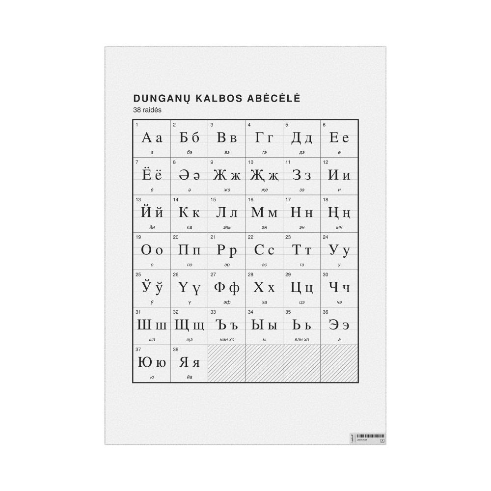 Leskoff Dungan Alphabet Chart, 23.4 x 33.1 in (59.4 x 84.1 cm, Poster / Wall Chart), Lithuanian-Labeled, image 1 of 2