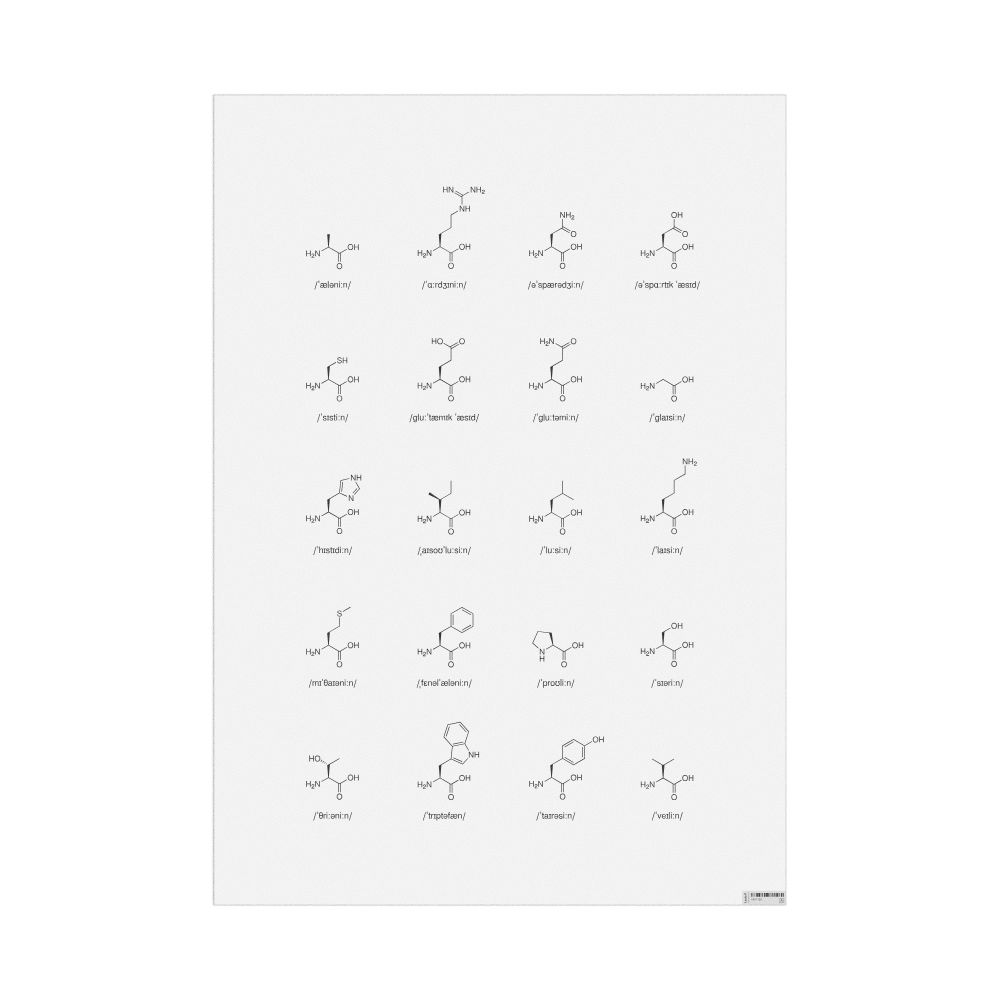 Leskoff Amino Acids Phonetic Wall Chart (Amino Acids Phonetic Poster), IPA-Labeled (English), image 1 of 1