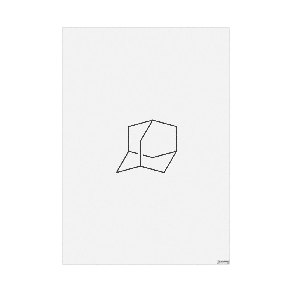 Leskoff Adamantane Molecule Poster, 2D Structure, image 1 of 1