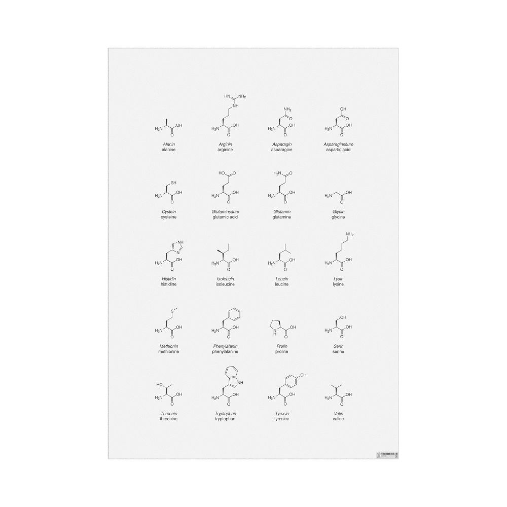 Leskoff Amino Acids Wall Chart (Amino Acids Poster), German/English-Labeled, image 1 of 1