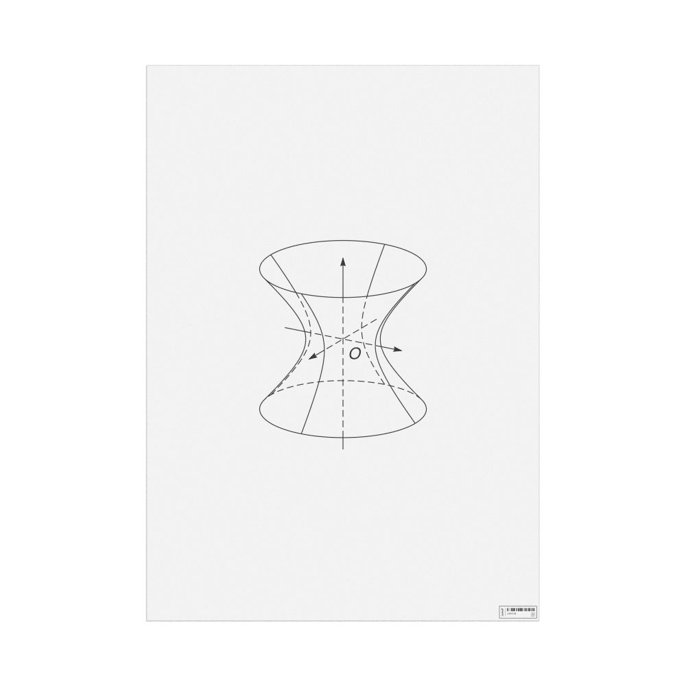Leskoff Hyperboloid of One Sheet Poster, Clean View, image 1 of 1