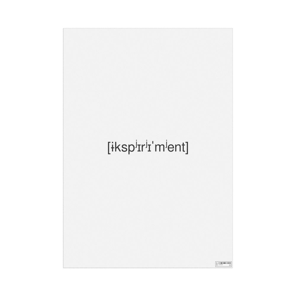 Leskoff эксперимент IPA Transcription Poster, image 1 of 1