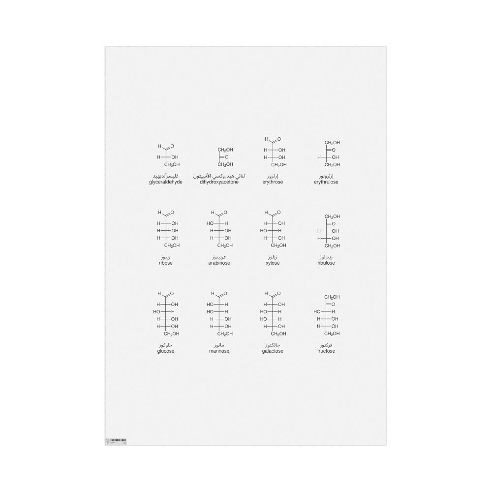 Leskoff Monosaccharides Wall Chart (Monosaccharides Poster), Arabic/English-Labeled, image 1 of 1