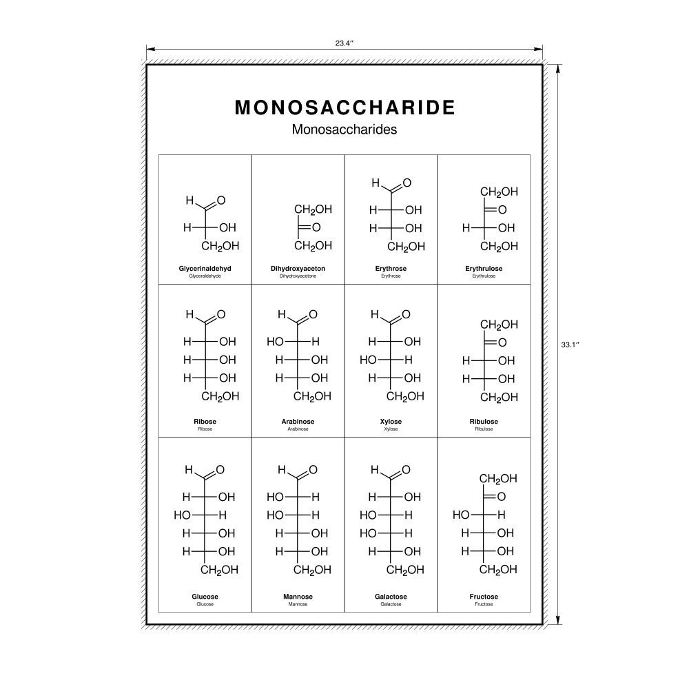 Leskoff Monosaccharides Wall Chart (Monosaccharides Poster), German/English-Labeled, image 1 of 1