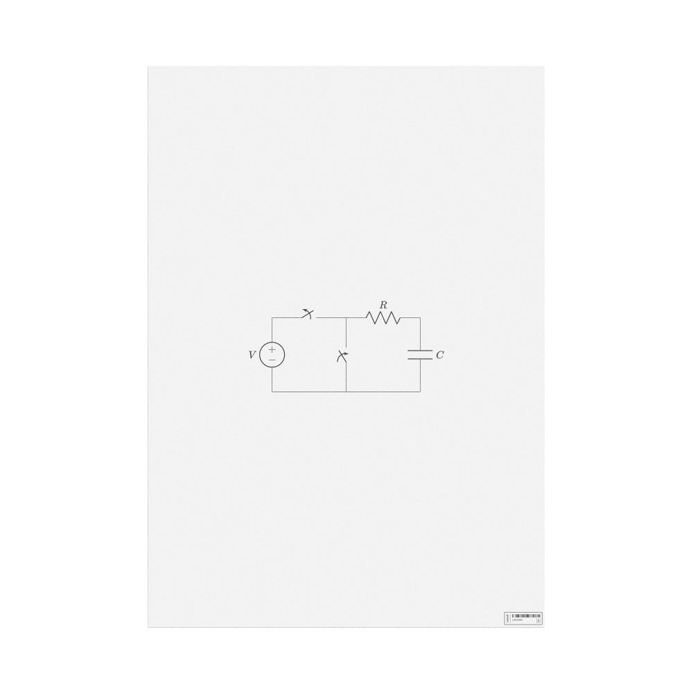 Leskoff RC Circuit Poster, image 1 of 1