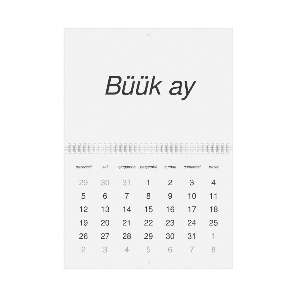 Leskoff 2026 Wall Calendar, Gagauz-Labeled, Monday-Start Layout, Wire-Bound, 11.7 x 8.3 in (29.7 x 21.0 cm), image 1 of 1