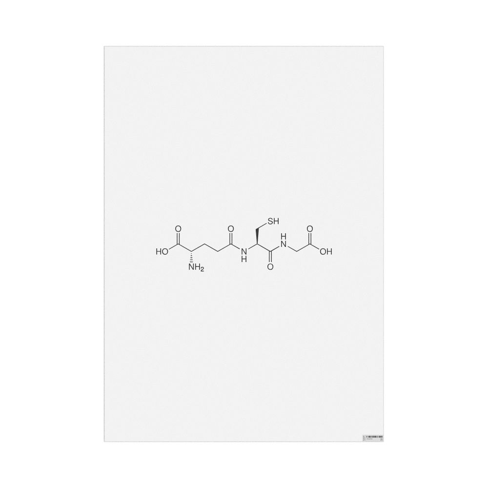 Leskoff Glutathione Molecule Poster, 2D Structure, image 1 of 1
