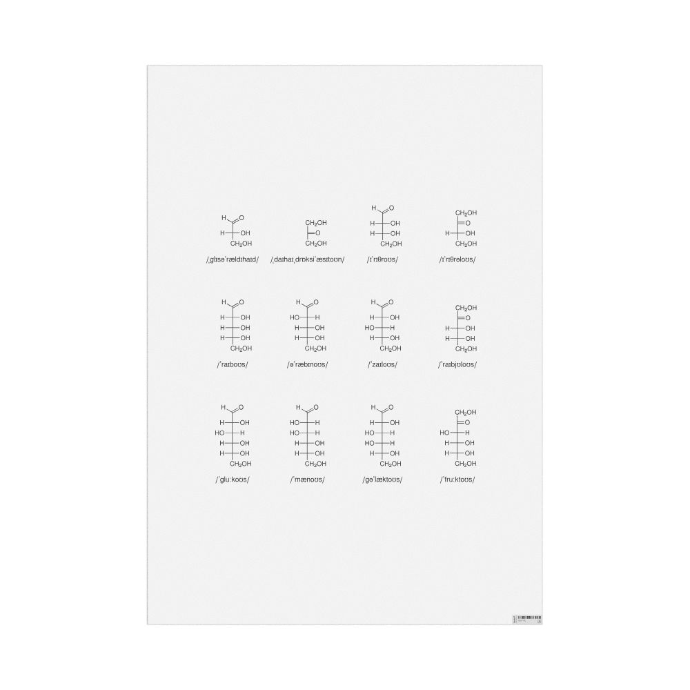 Leskoff Monosaccharides Phonetic Wall Chart (Monosaccharides Phonetic Poster), IPA-Labeled (English), image 1 of 1