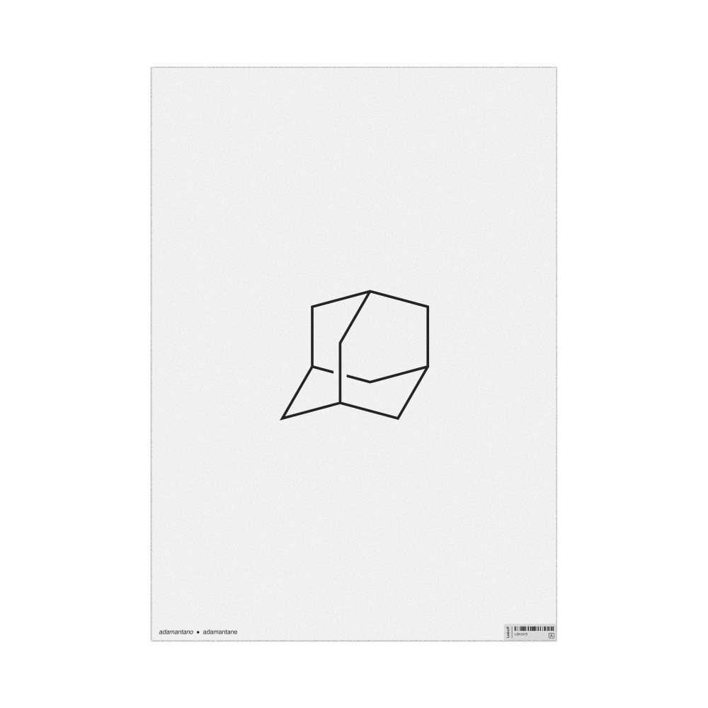 Leskoff Adamantane Molecule Poster, 2D Structure, Portuguese/English-Labeled, image 1 of 1