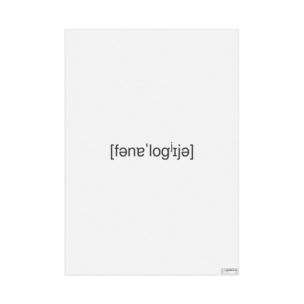 Leskoff фонология IPA Transcription Poster, image 1 of 1