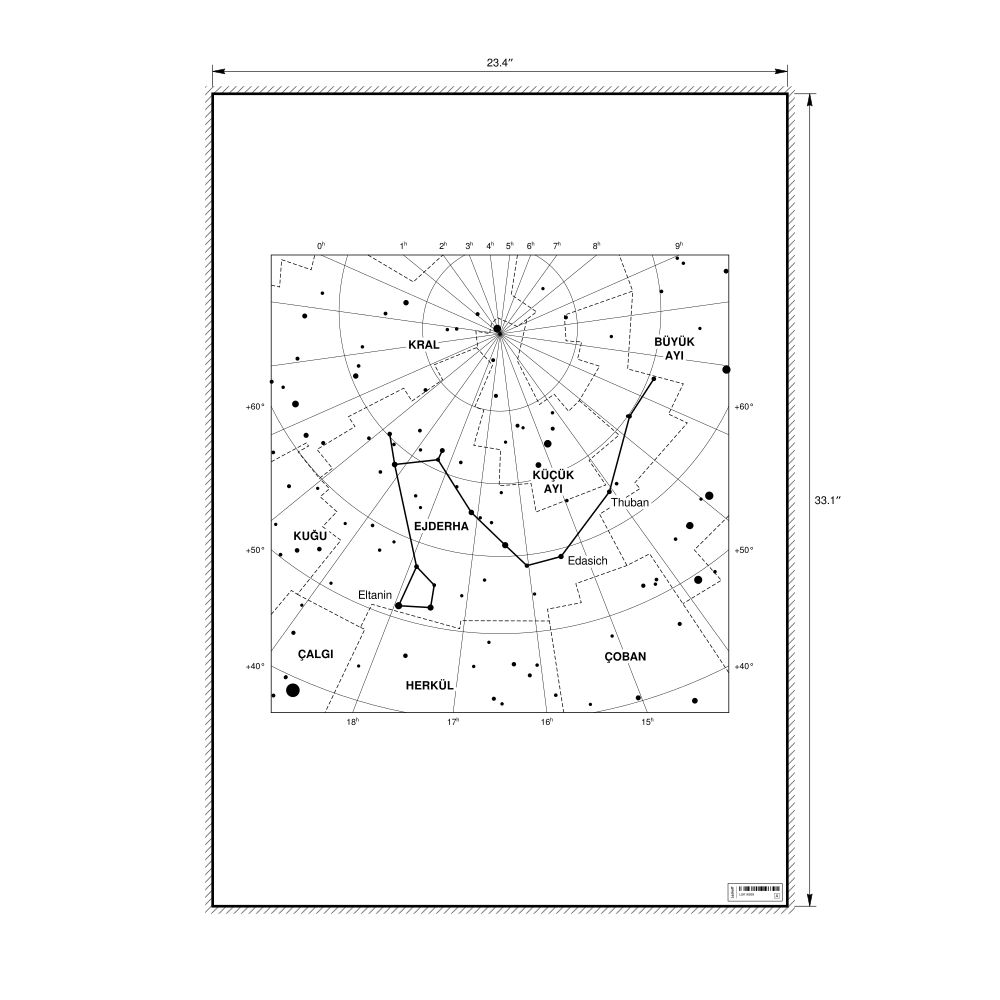 Leskoff Draco Constellation Poster, Turkish-Labeled, image 1 of 2