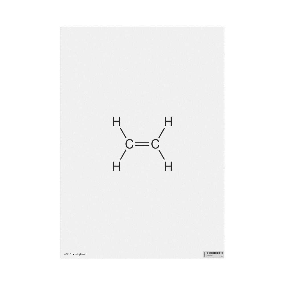 Leskoff Ethylene Molecule Poster, 2D Structure, Inuktitut/English-Labeled, image 1 of 1