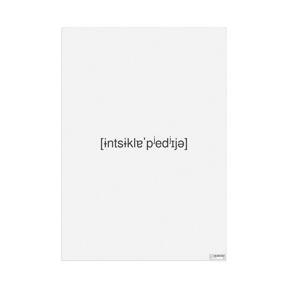 Leskoff энциклопедия IPA Transcription Poster, image 1 of 1