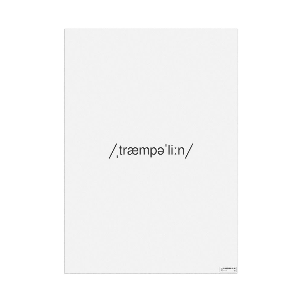 Leskoff trampoline IPA Transcription Poster, image 1 of 1