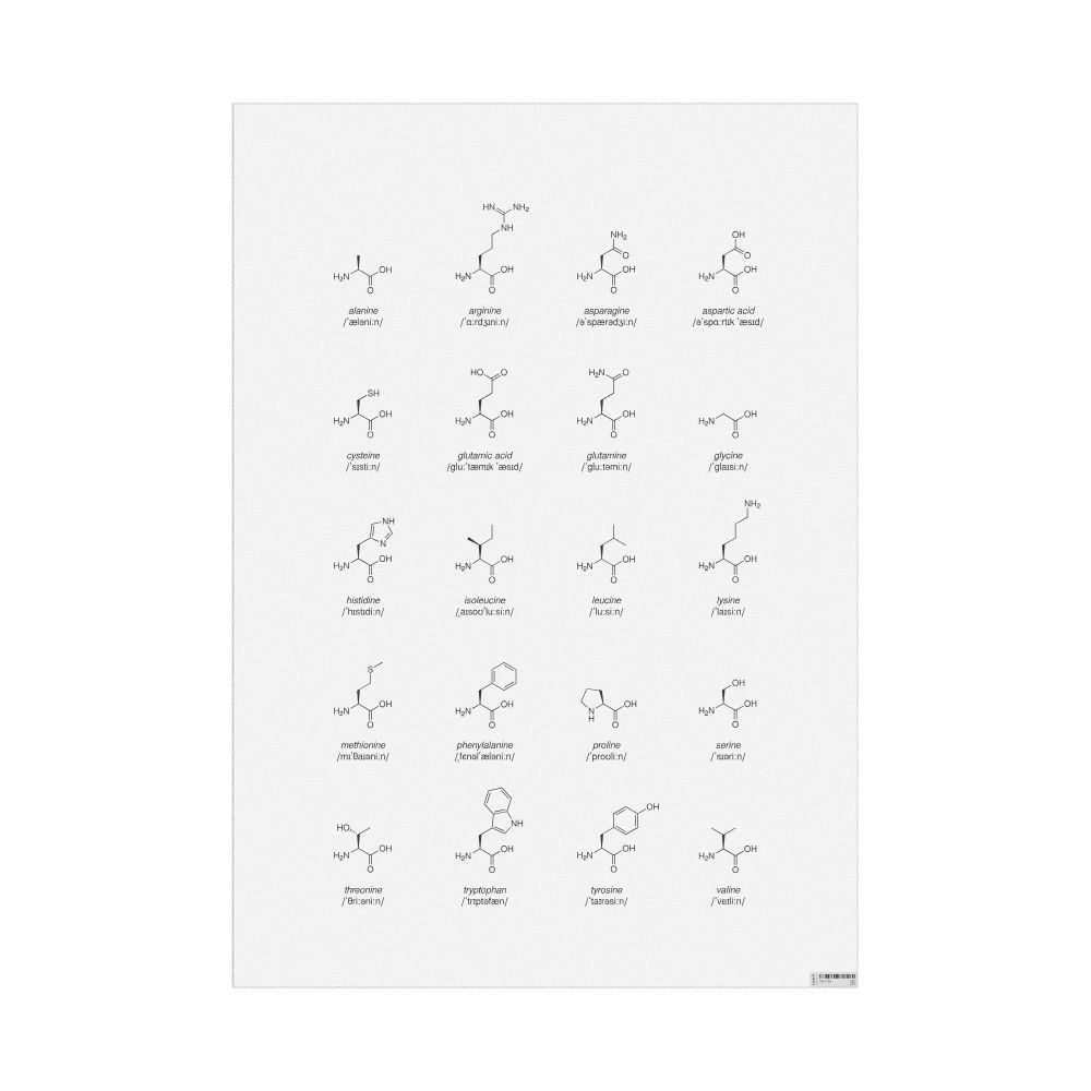Leskoff Amino Acids Phonetic Wall Chart (Amino Acids Phonetic Poster), English-Labeled with IPA, image 1 of 1