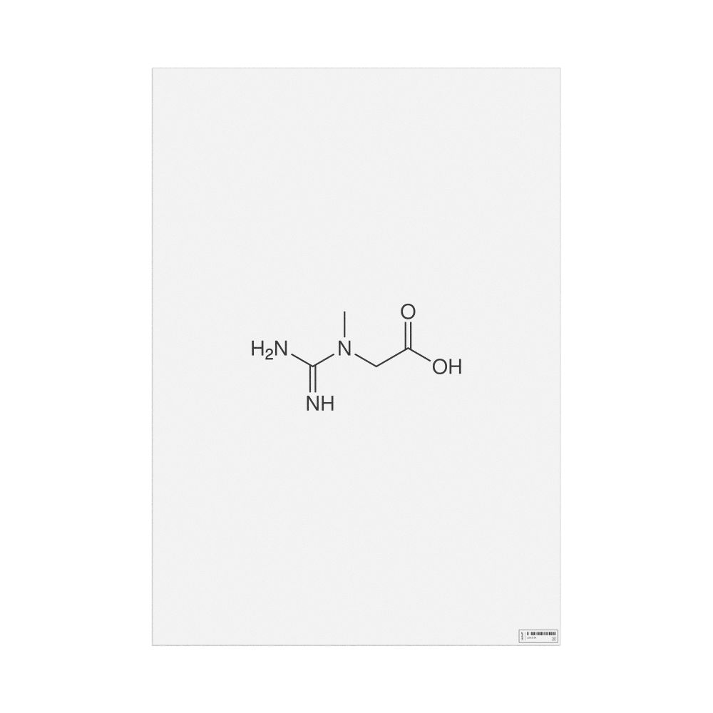 Leskoff Creatine Molecule Poster, 2D Structure, image 1 of 1
