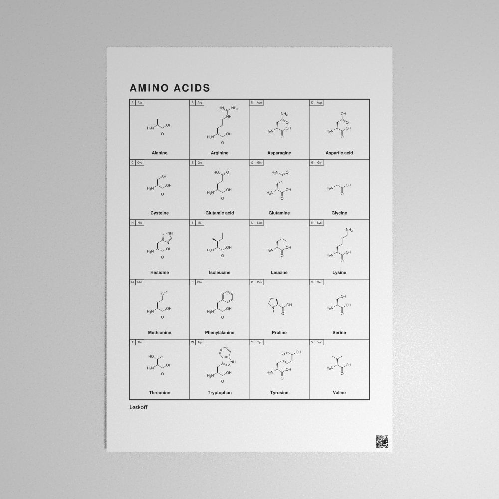 Leskoff Amino Acids Poster image 1 of 2